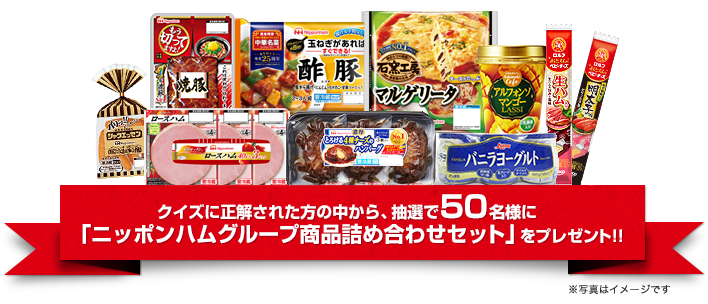 ニッポンハムグループ商品詰め合わせセット50名プレゼント